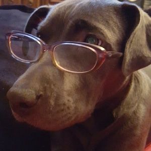 Meet your Posher, Lindsey