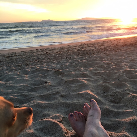 Meet your Posher, Sherry - Picture 2 of 4