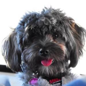 Meet your Posher, Kristina