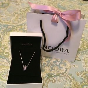 Pandora charm and necklace. Brand new.