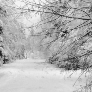 Meet your Posher, Kathleen