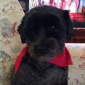 Meet your Posher, Tracy