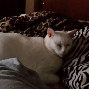 Meet your Posher, Stacey