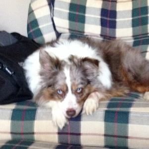 Meet your Posher, Karen