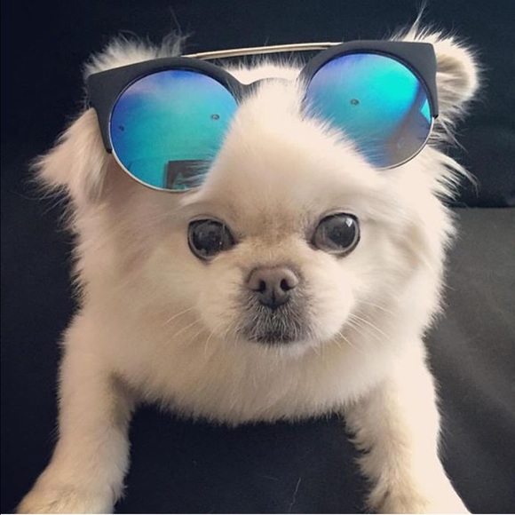 SOLD - Picture 4 of 4