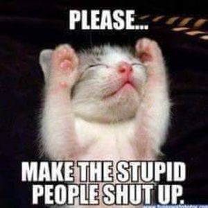 Meet your Posher, Brandy