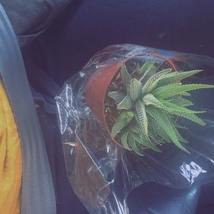 Meet your Posher, Maddi