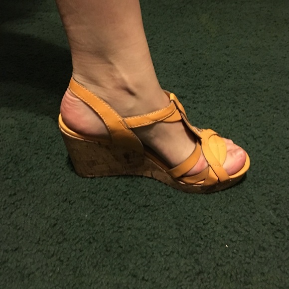 Spring wedges