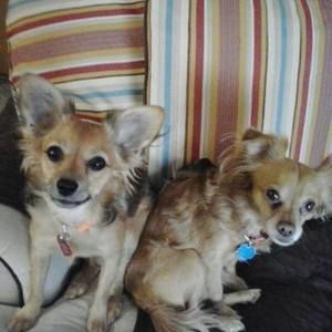 Meet your Posher, Karen