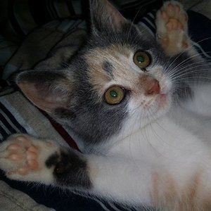 Meet your Posher, Katondra