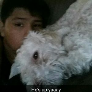 Meet your Posher, Antonio