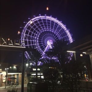 Meet your Posher, Marlene