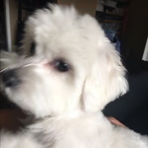 Meet your Posher, Johnita