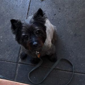 Meet your Posher, Caroline