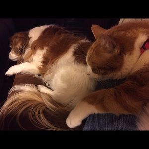 Meet your Posher, Karen