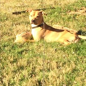 Meet your Posher, Robin