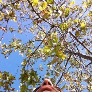 Meet your Posher, Zlatko