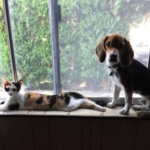 Meet your Posher, Krista