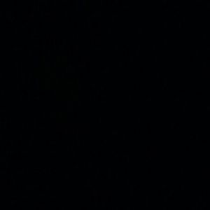 Meet your Posher, Varshay