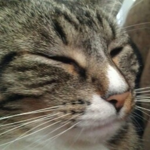 Meet your Posher, Mallory - Picture 1 of 1