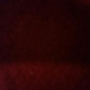 Meet your Posher, Leonard