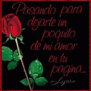 Meet your Posher, Reina