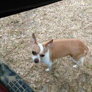 Meet your Posher, Brandy