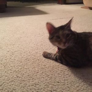 Meet your Posher, Kathy