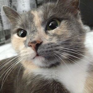 Meet your Posher, Ky