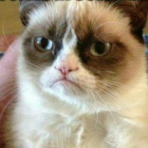 Meet your Posher, Terri