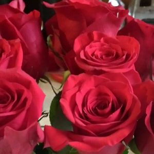 Meet your Posher, Erica