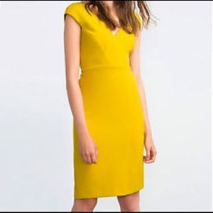 Zara knee length cap sleeve dress mustard yellow
