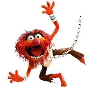 Meet your Posher, Bruce