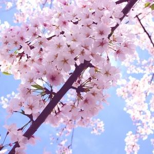 Meet your Posher, Sandy