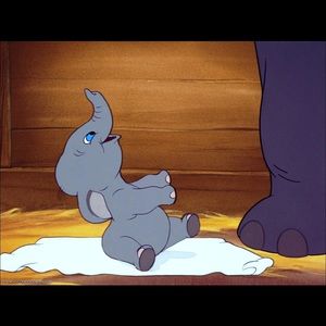 Meet your Posher, Elisha