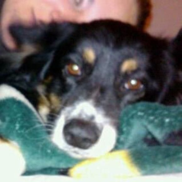 Meet the Posher Other - Meet your Posher, Krystal