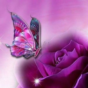 Meet your Posher, Toni