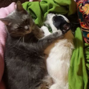 Meet your Posher, Amy