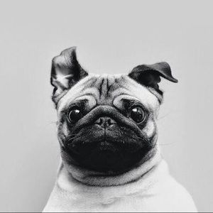 Meet your Posher, Joyce