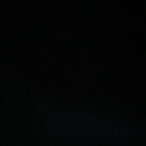 Meet your Posher, Maddy