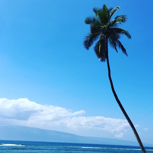 Meet your Posher, Paula - Picture 1 of 1