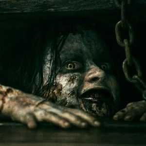 Meet your Posher, Ronald