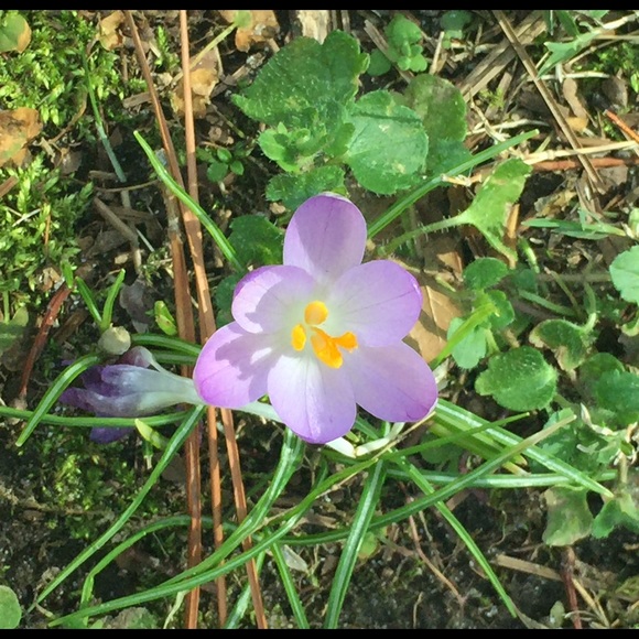 Meet your Posher, Kelsey