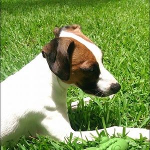 Meet your Posher, Louise