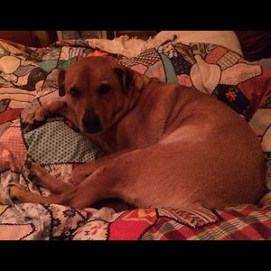 Meet your Posher, Laura