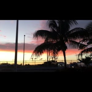 Meet your Posher, Talia