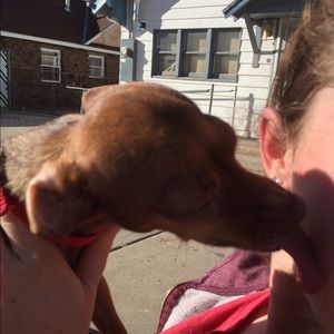 Meet your Posher, Tara