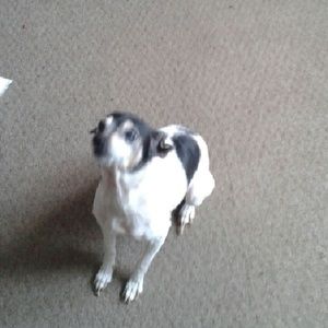 Meet your Posher, Grace