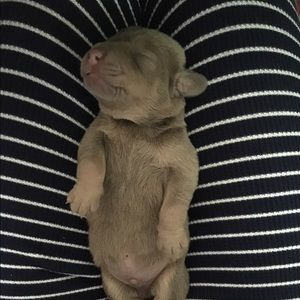 Meet your Posher, Marta