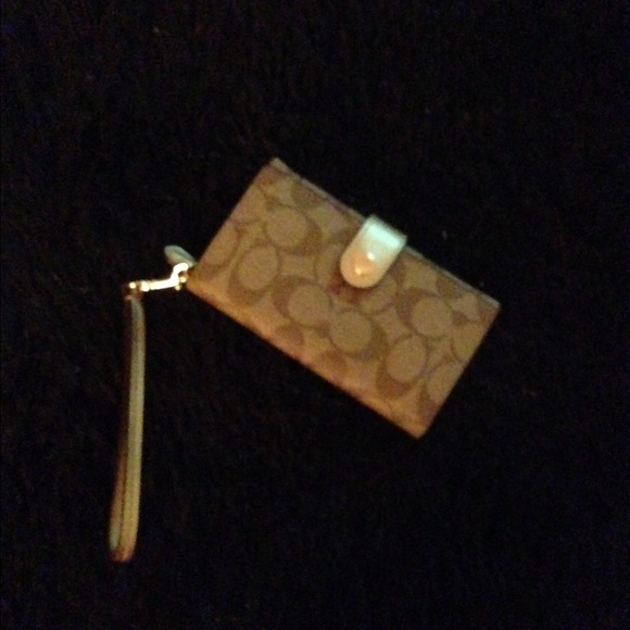 Wallet/clutch